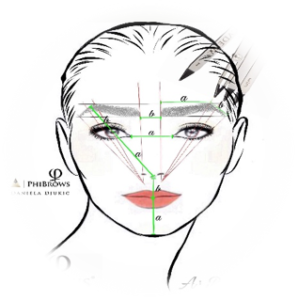 Illustration Microblading PhiBrows